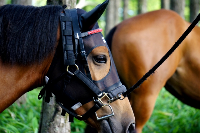 競馬と税金