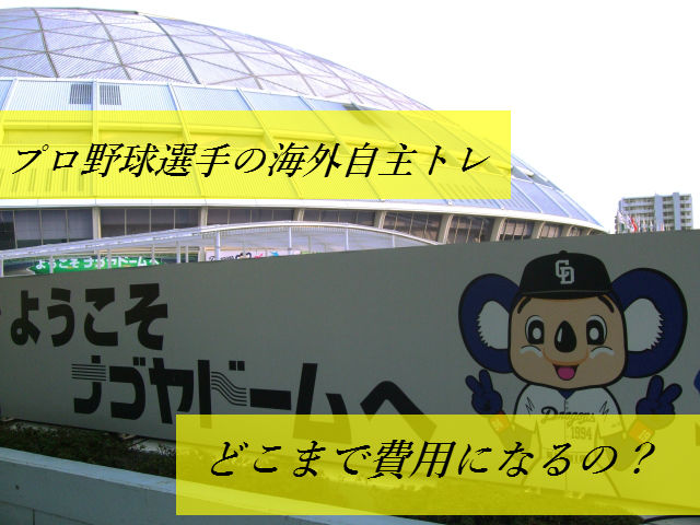 プロ野球選手の自主トレ